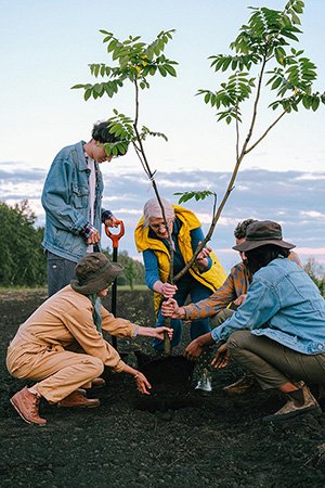 Tree planting by shvetsa